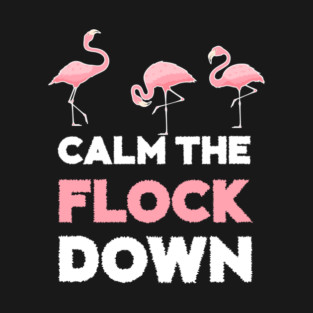 Calm the Flock Down Flamingo Flock T-Shirt