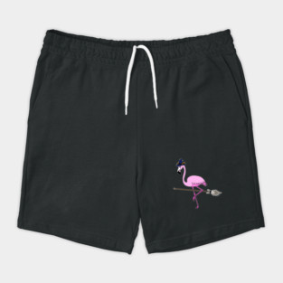 Flamingo Halloween Witch and Broomstick, Love Flamingos Shorts