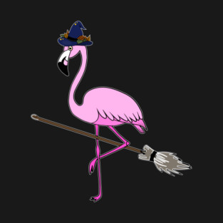Flamingo Halloween Witch and Broomstick, Love Flamingos T-Shirt