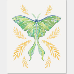 Watercolor Luna Moth Posters and Art