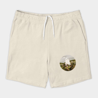 Strawberry Fields Shorts