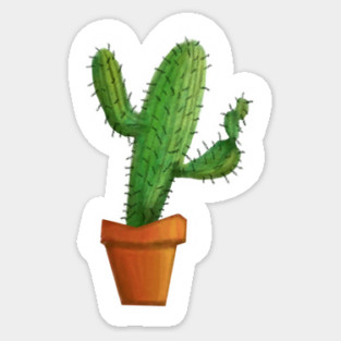 CACTUS Magnet