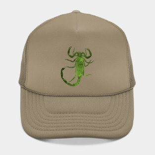 Scorpion Hat