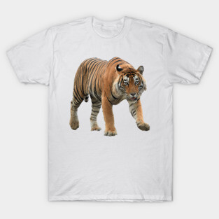 Bengal Tiger T-Shirt