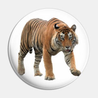 Bengal Tiger Pin