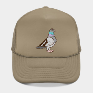A Pigeon Hat