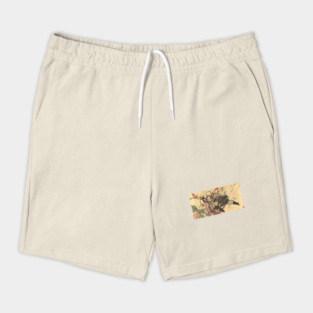 Kung Fu Shorts