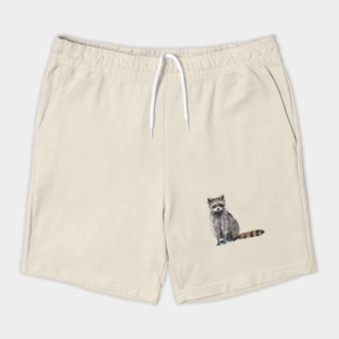 Raccoon Shorts