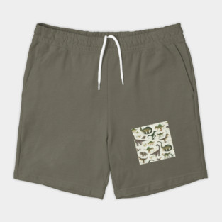 Dinosaurs Shorts