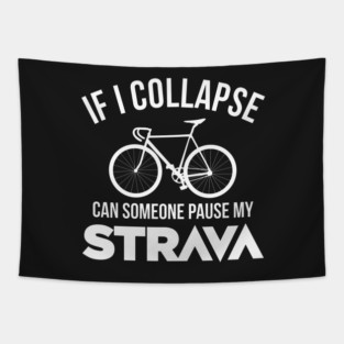 If I Collapse, Can SomeOne Pause My Strava Tapestry
