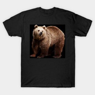 big    bear T-Shirt