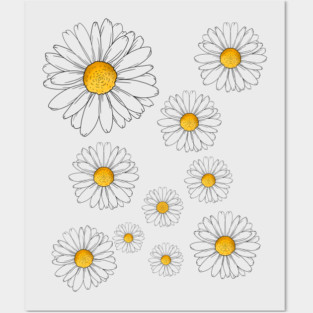 Daisies Posters and Art
