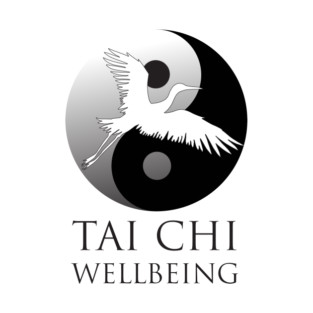 Tai Chi Wellbeing (for light backgrounds) T-Shirt