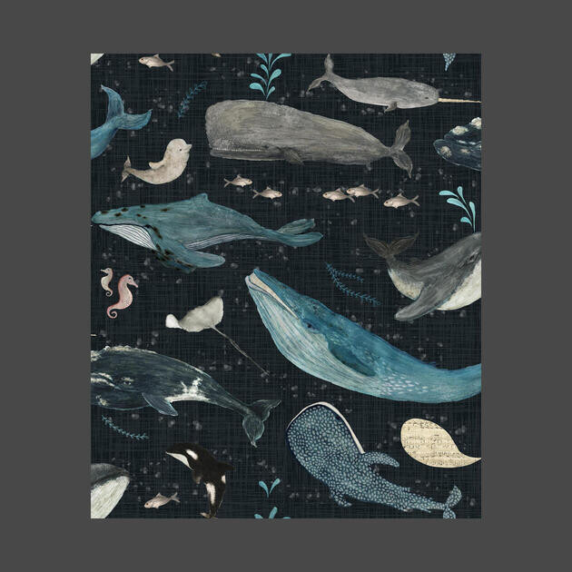 Whale song (charcoal) by katherinequinnillustration