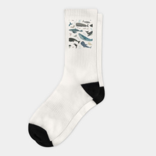Whale song (blue) Socks