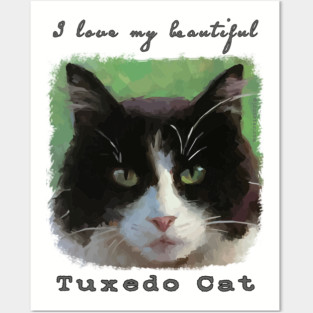 I Love My Beautiful Tuxedo Cat Posters and Art