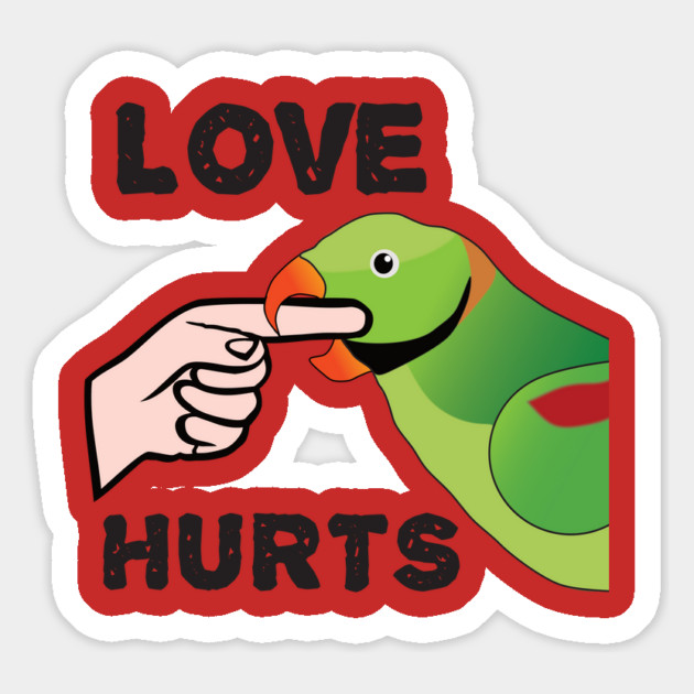 Love Hurts - Alexandrine Parakeet Male Magnet by Einstein Parrot