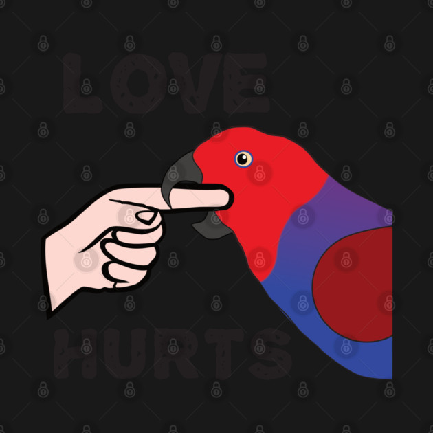 Love Hurts - Eclectus Parrot Female by Einstein Parrot