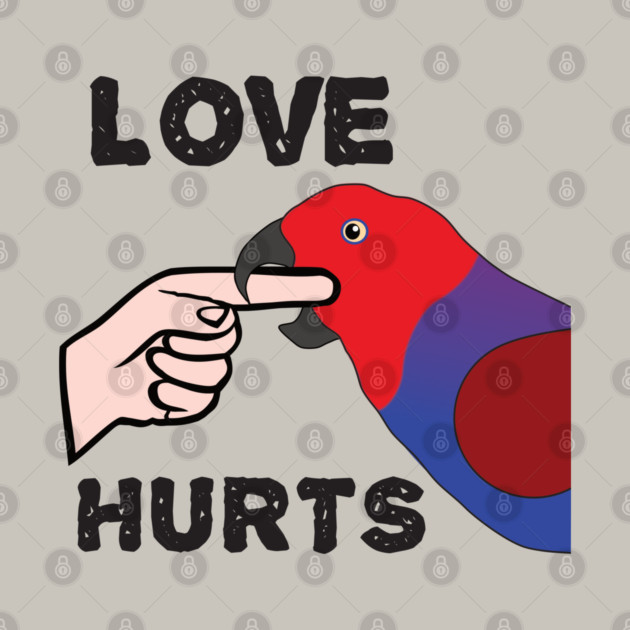 Love Hurts - Eclectus Parrot Female by Einstein Parrot