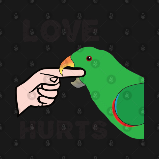 Love Hurts - Eclectus Parrot Male by Einstein Parrot