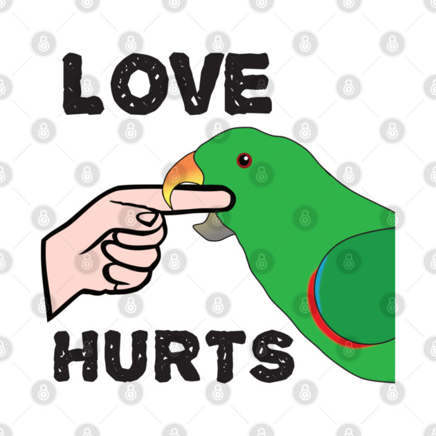Love Hurts - Eclectus Parrot Male by Einstein Parrot