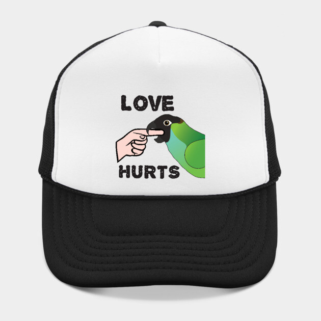 Love Hurts - Nanday Conure Parrot by Einstein Parrot