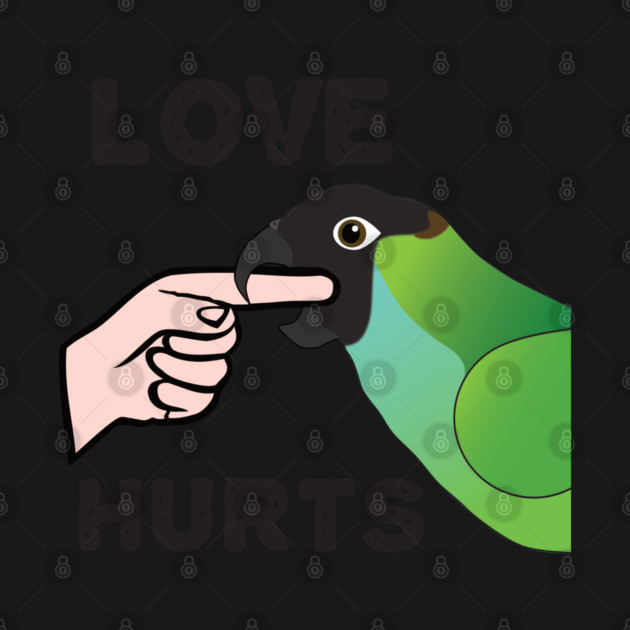 Love Hurts - Nanday Conure Parrot by Einstein Parrot