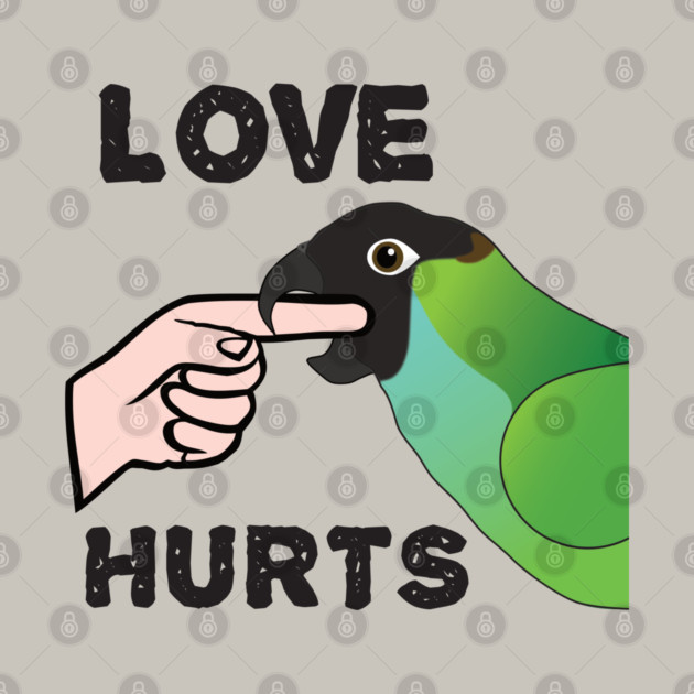 Love Hurts - Nanday Conure Parrot by Einstein Parrot