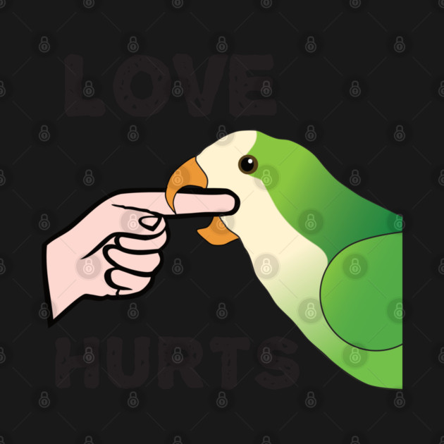 Love Hurts - Quaker Parrot by Einstein Parrot