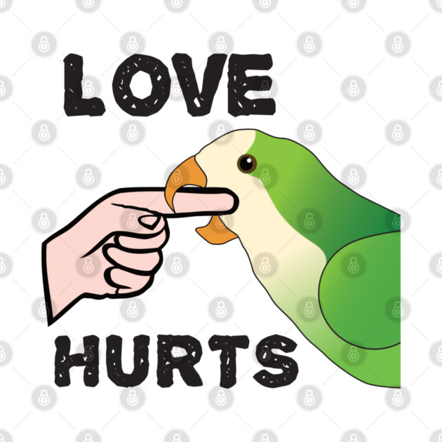 Love Hurts - Quaker Parrot by Einstein Parrot