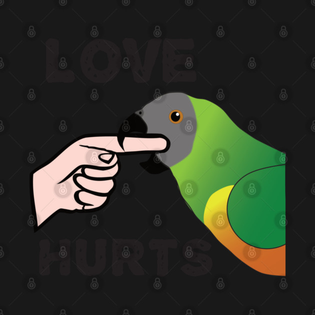 Love Hurts - Senegal Parrot by Einstein Parrot