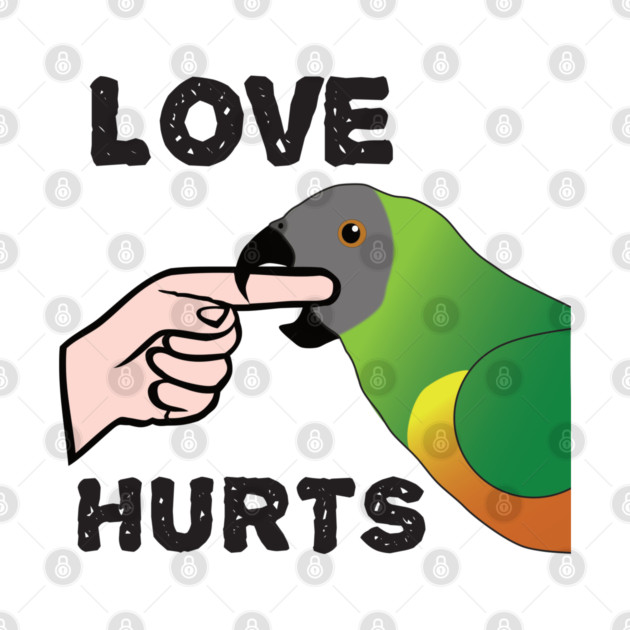 Love Hurts - Senegal Parrot by Einstein Parrot