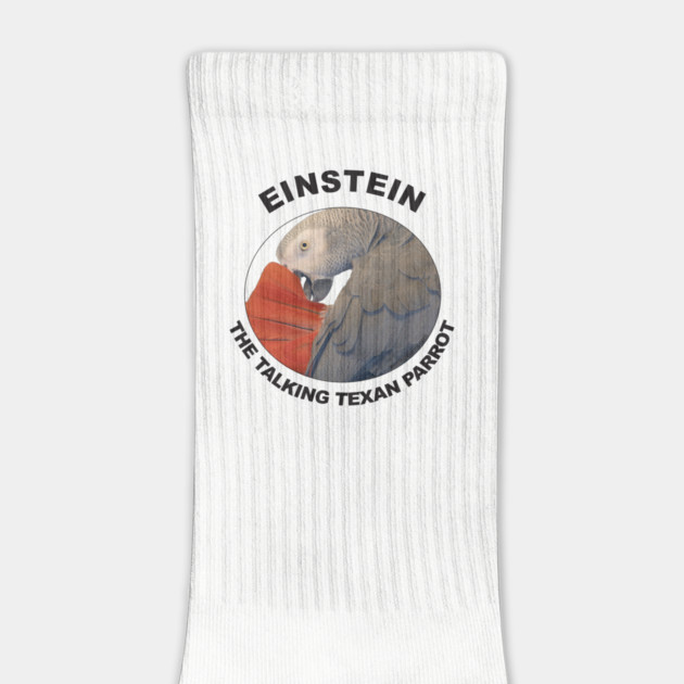 Einstein Parrot African Grey Logo by Einstein Parrot