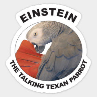 Einstein Parrot African Grey Logo Sticker