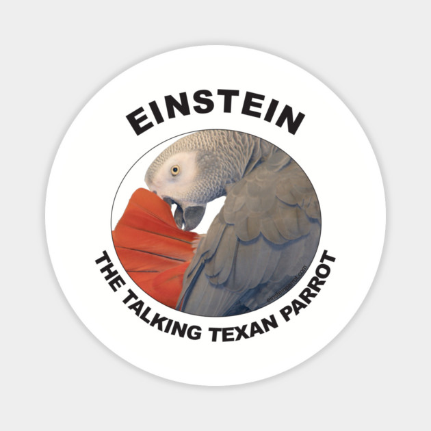 Einstein Parrot African Grey Logo Magnet by Einstein Parrot