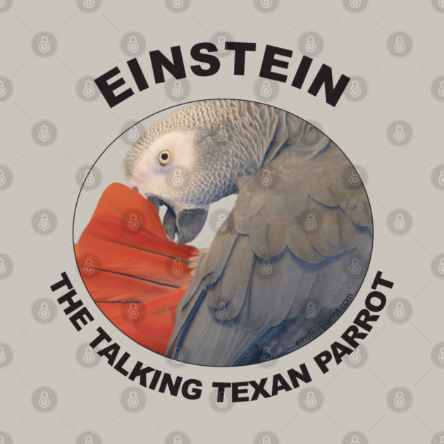 Einstein Parrot African Grey Logo by Einstein Parrot