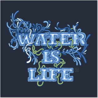 Water is Life Posters and Art