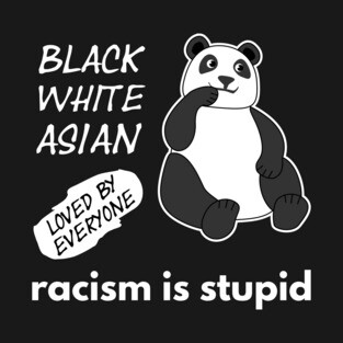Panda Says: Racism Is Stupid T-Shirt