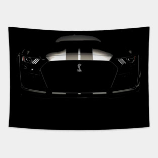 2020 Ford Shelby GT500 Tapestry