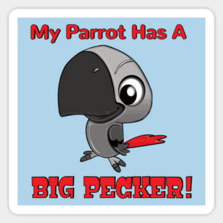 My African Grey Parrot has a Big Pecker Magnet