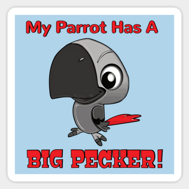 My African Grey Parrot has a Big Pecker Magnet by Einstein Parrot