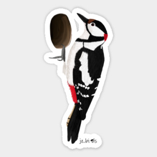 Woodpecker Bird Watching Birding Ornithologist Gift Sticker