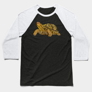 Box Turtle Baseball T-Shirt