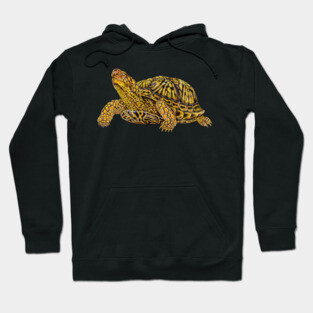 Box Turtle Hoodie