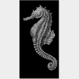 Seahorse Posters and Art