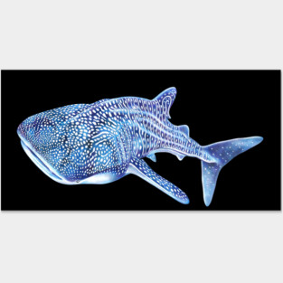 Whale Shark Posters and Art