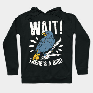 Birdwatching Birder Bird Watcher Gift Hoodie