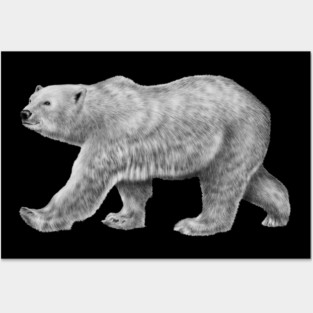 Polar Bear Posters and Art