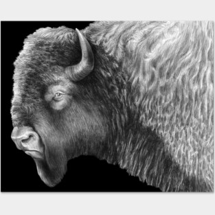 Buffalo Posters and Art