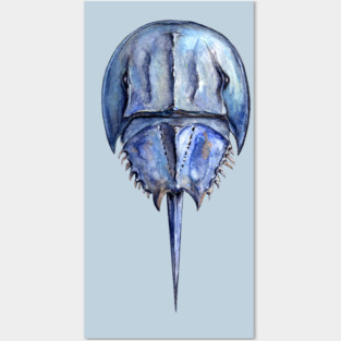 Blue Horseshoe Crab Posters and Art